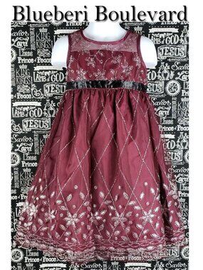 Blueberi Boulevard Sparkly Dress Size 4T